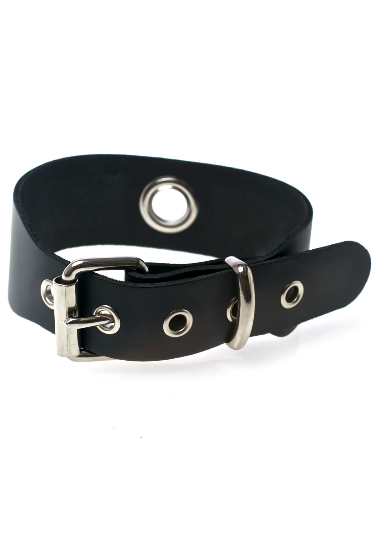 Phoenix Risen Choker