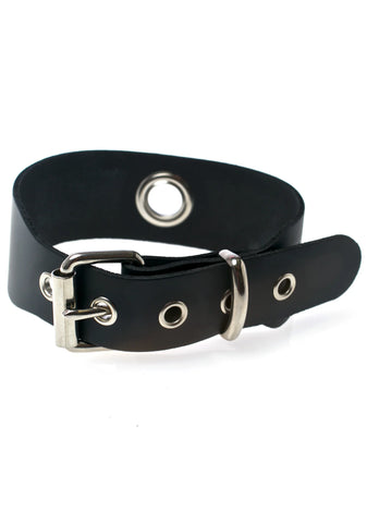 Phoenix Risen Choker