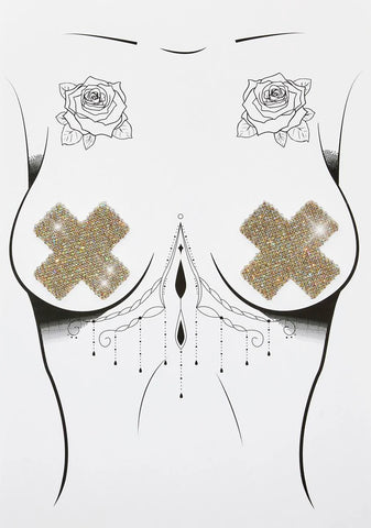 Silver Shiney Hiney Iridescent Rhinestone Pasties And Panty Set