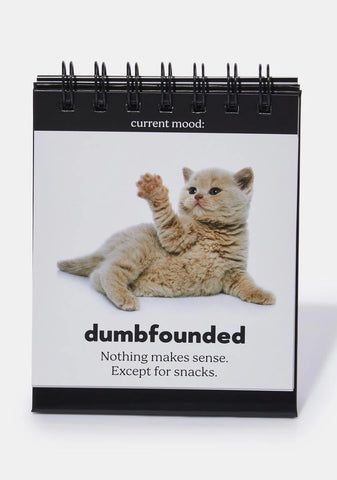 Daily Catitudes Desktop Flipchart