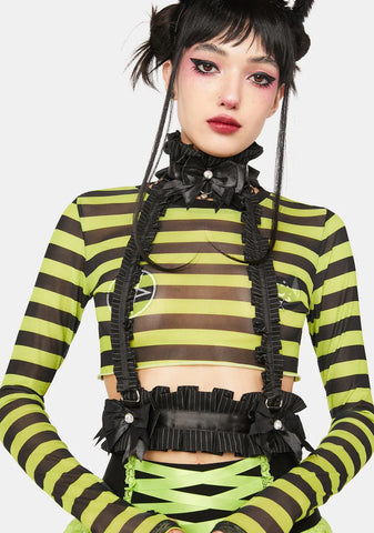 Kitten Collection Pinstripe Body Harness