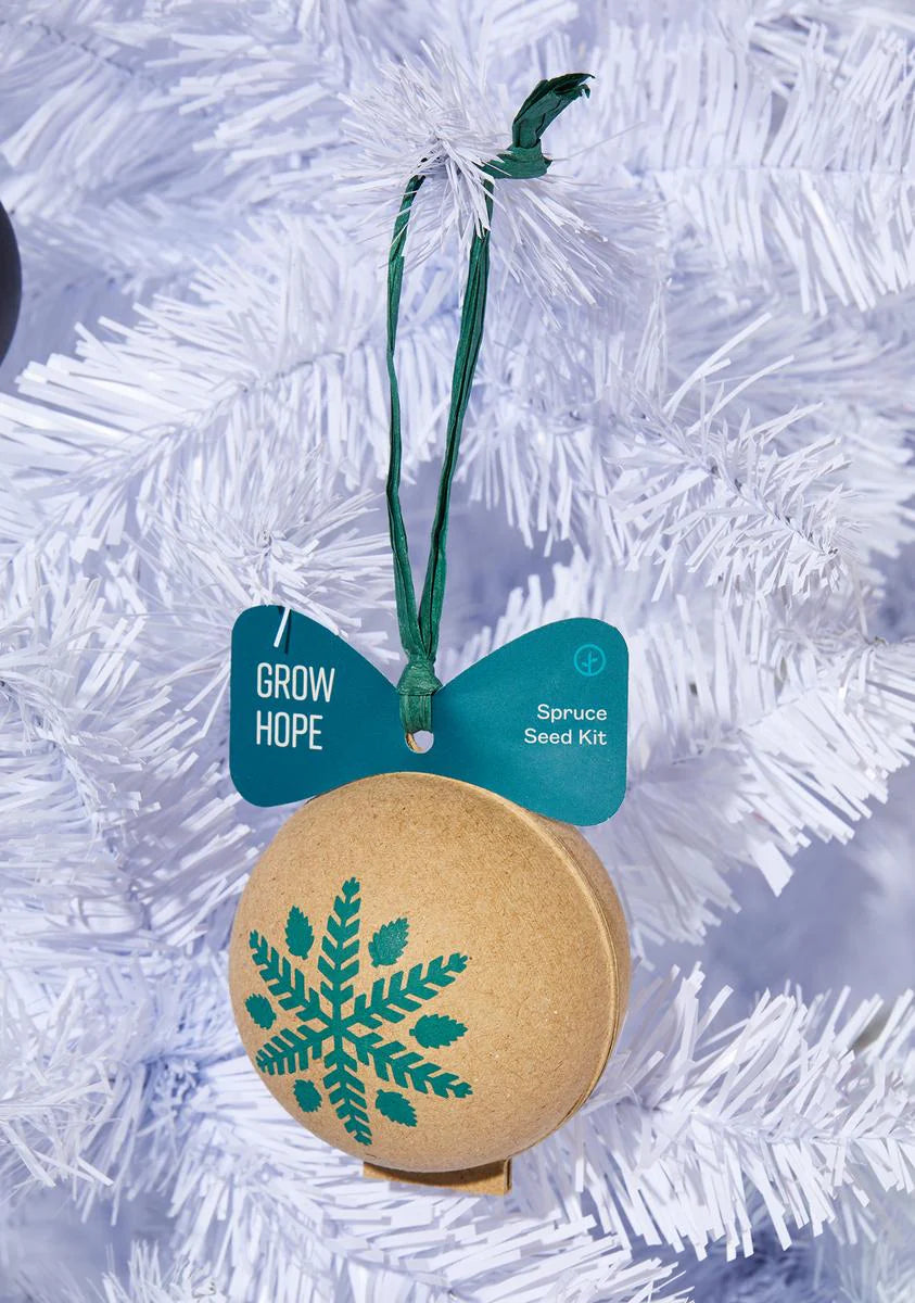 Spruce Ornament Seed Kit