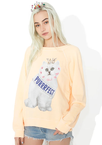 Purrfect Sommers Sweater