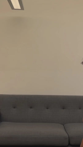 Dark Halls Mini Dress