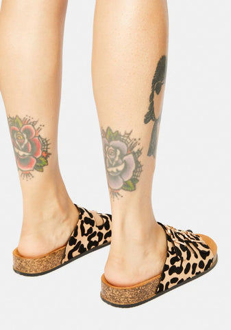 Fierce Finding Adventure Buckle Slides