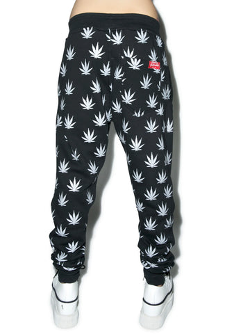 High Rise Jogger Pants