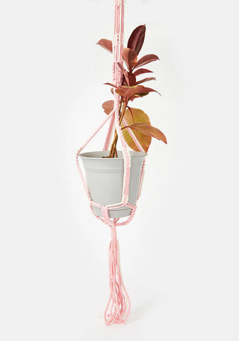 Sweet Hangin' Around Woven Plant Hanger