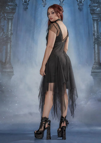 Love Potioned Sheer Embroidered Dress