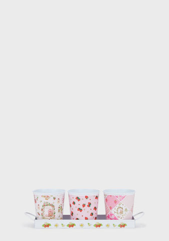 Spring Up Herb Pot Set