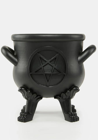 Rotting Inside Planter