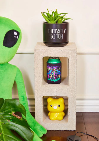 Thirst Trap Plant Pot