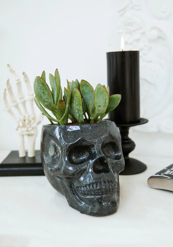 Dead Things Grow Skull Planter