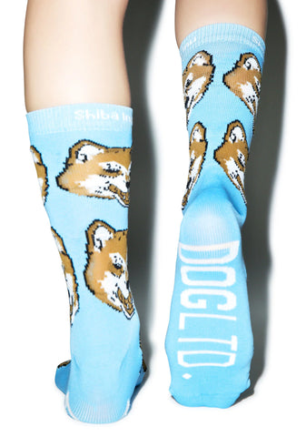Shiba Inu Socks