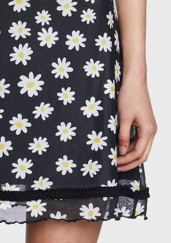 What's The Buzz Mesh Dress