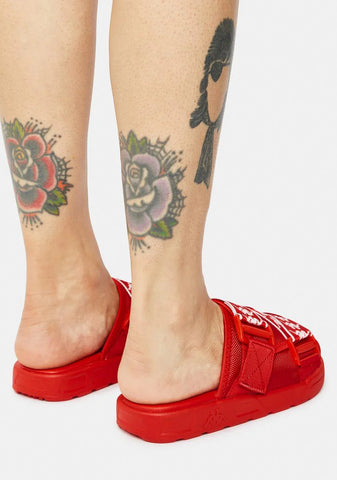 Red 222 Banda Mitel 1 Slides