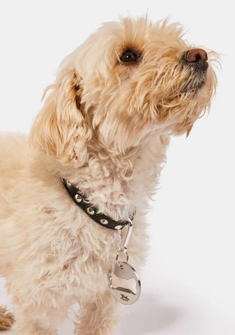 Doggie Bottle Opener Collar