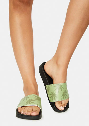 Green Plantlife Graphic Slides