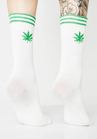 All Time High Striped Socks