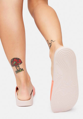 Coral 222 Banda Adam 9 Slides