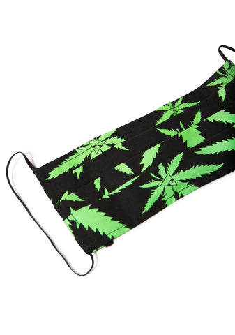 All Seeing Mary Dust Mask