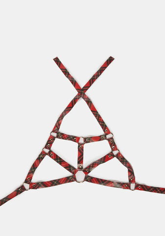 Red Plaid Harness