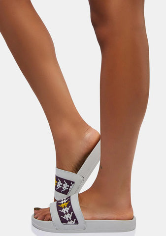 Gray 222 Banda Adam 15 Slides