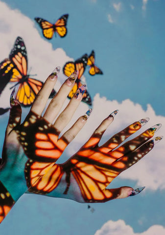 Clear Butterfly Press On Nailz