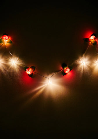 Lost In Fairyland String Lights