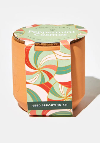 Peppermint Cosmos Tiny Terracotta Kit
