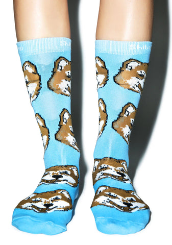 Shiba Inu Socks