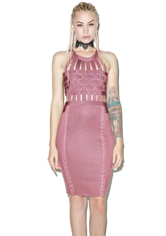 Rose Bound Bodycon Dress