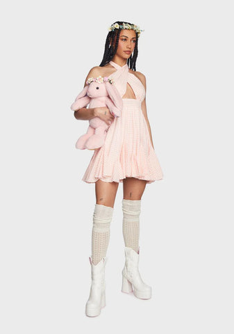 Sweet Making Plans Gingham Dress