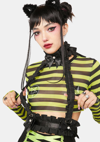 Kitten Collection Pinstripe Body Harness