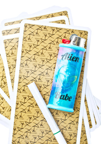 Alien Babe Lighter Case