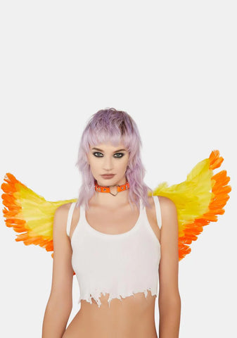 Juicy Night And Day Feather Wings