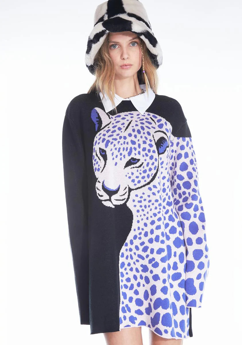 Fierce Looks Oversized Sweater