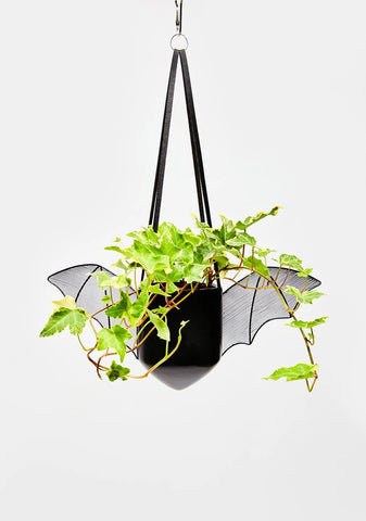 Dark Of Night Bat Planter