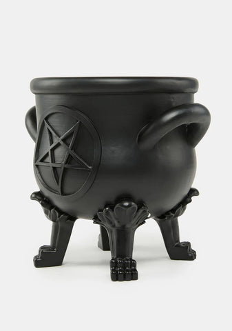 Rotting Inside Planter