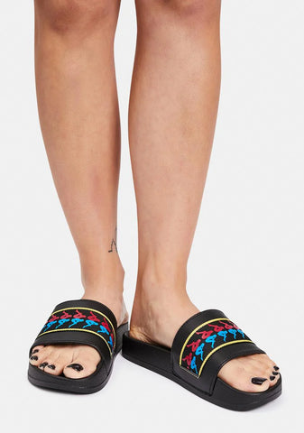 Authentic Adam 14 Slides