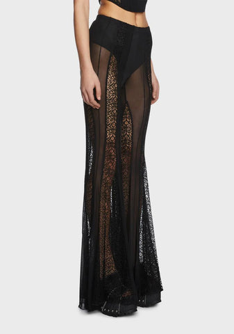 Wild Whims Mesh Flare Pants
