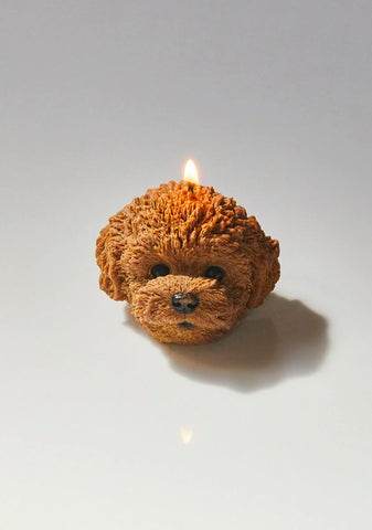Honey Brown Wauwau Poodle Candle