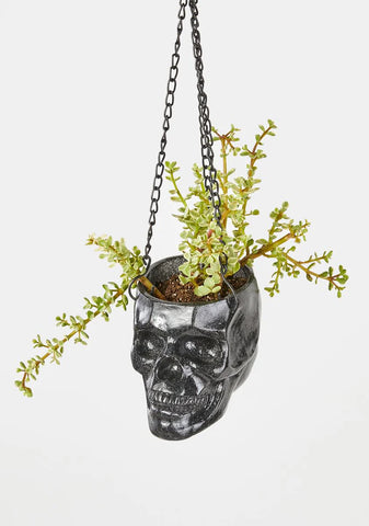 Dead Things Grow Hanging Planter