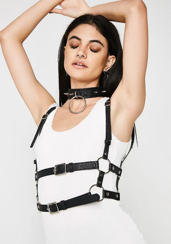 Tight Hold Buckle Harness