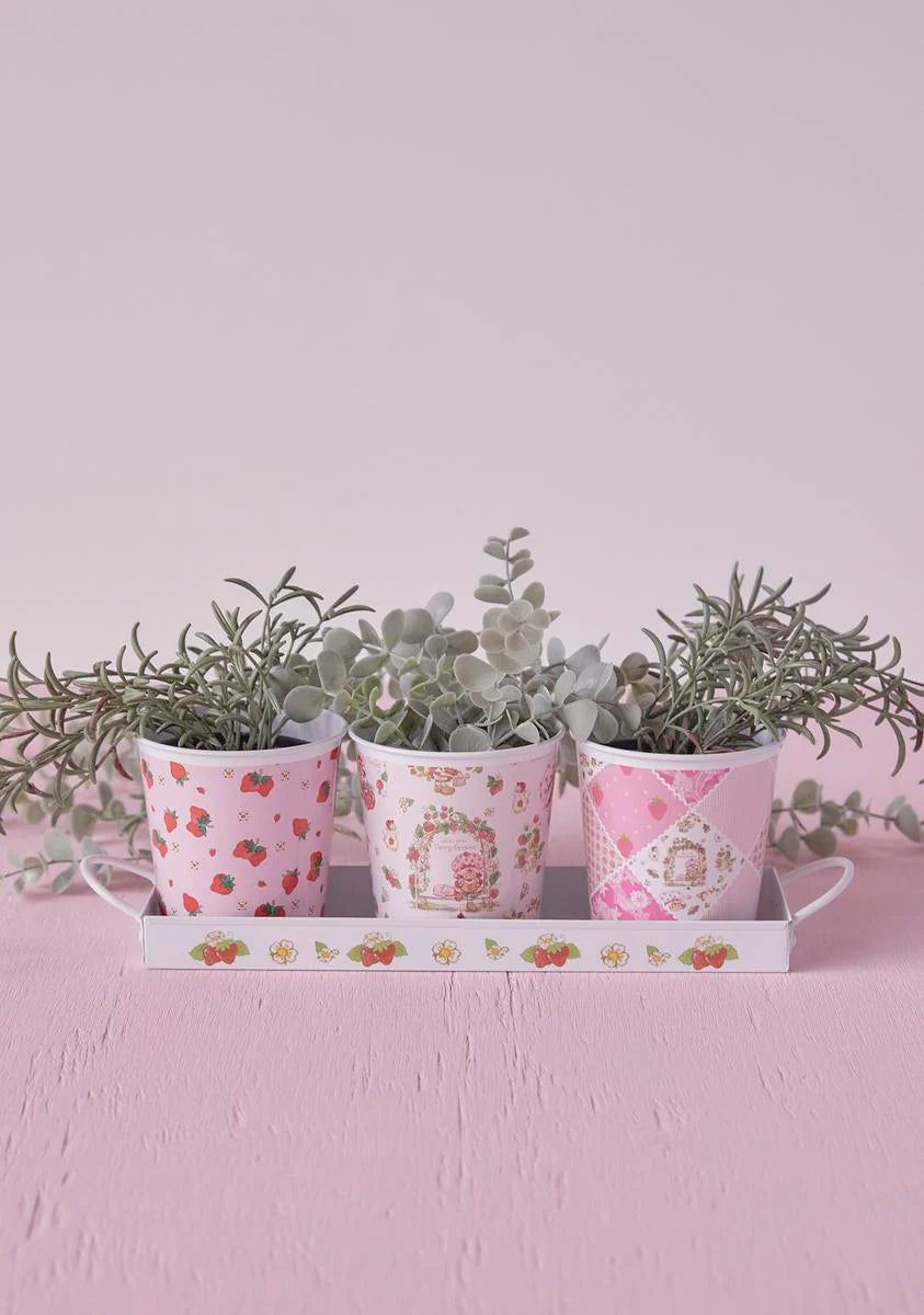 Spring Up Herb Pot Set