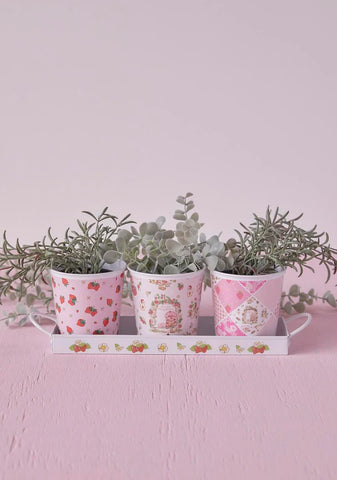 Spring Up Herb Pot Set