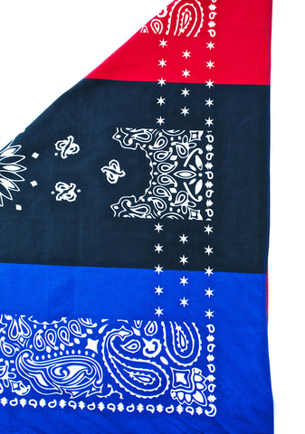 Unity Bandana