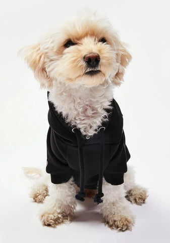 Throw Me A Bone Pet Hoodie