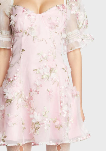 Baby Sweetheart Portrait Mini Dress