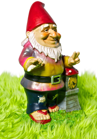 Whatzup The Garden Gnome Dude