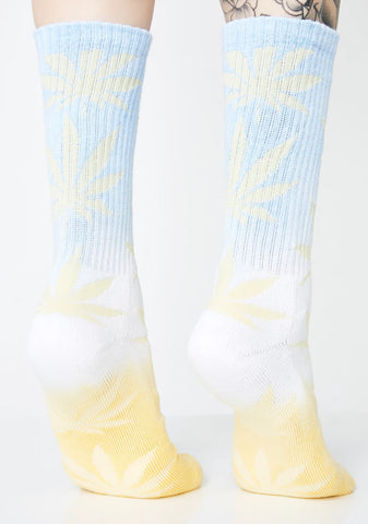 Fade Dye Plantlife Socks